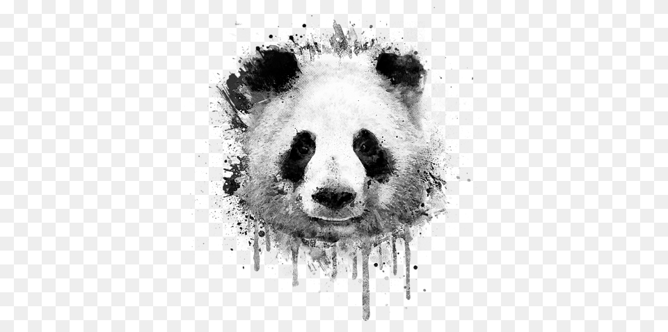 Graffiti Watercolor Panda Portrait In Black And Panda Bear Background Abstract, Animal, Wildlife, Mammal, Giant Panda Free Png Download