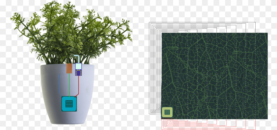 Graficos 01 Small 4, Herbs, Jar, Plant, Planter Free Png