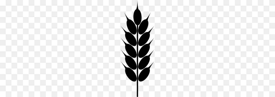 Grain Gray Png