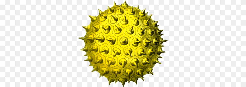 Grain Pollen, Sphere, Plant, Tennis Free Png