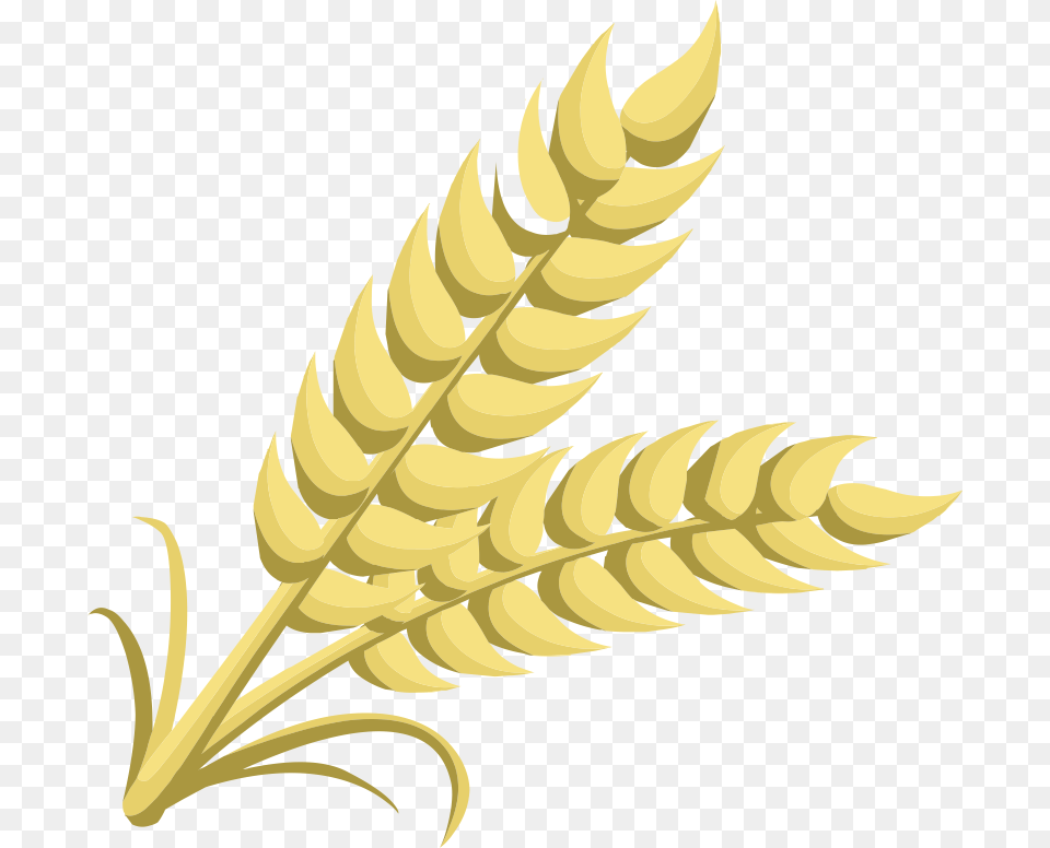 Grain Clipart, Leaf, Plant Free Transparent Png