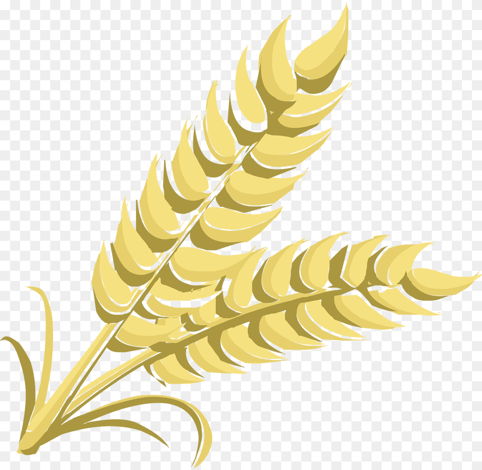 Grain Clipart, Food, Produce, Wheat, Plant Free Png Download