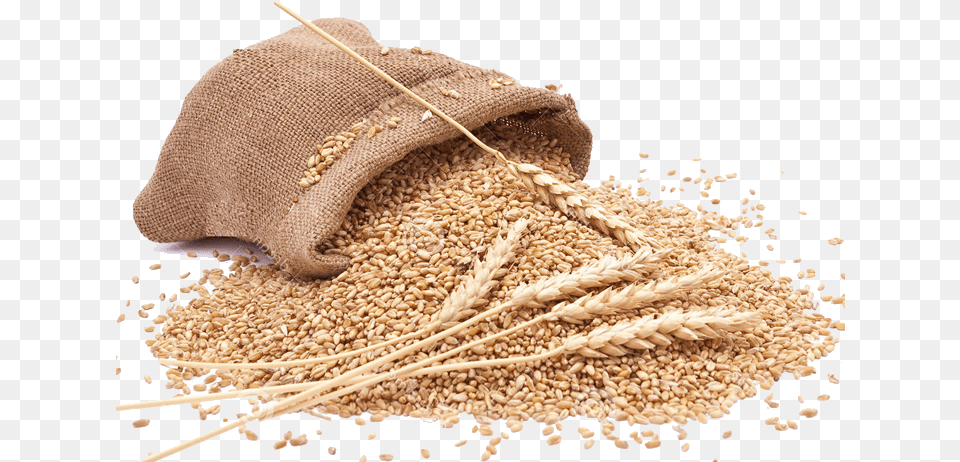 Grain Clipart Grains, Food, Produce, Wheat, Bag Free Transparent Png