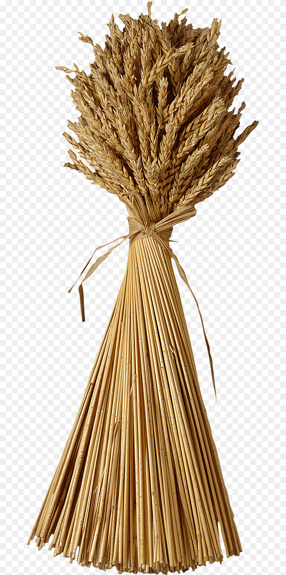 Grain Clipart Wheat Straw Finding Fullness Again What The Book Of Ruth Teaches, Food, Produce, Outdoors, Countryside Free Transparent Png