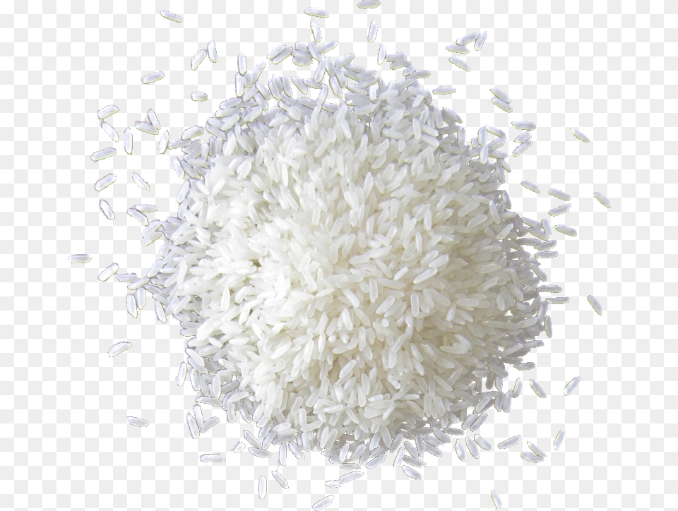 Grain De Riz Download White Rice Free, Food, Produce, Plant Png Image
