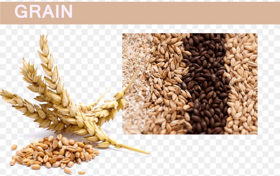 Grain Pic Wheat And Barley, Food, Produce, Smoke Pipe Png