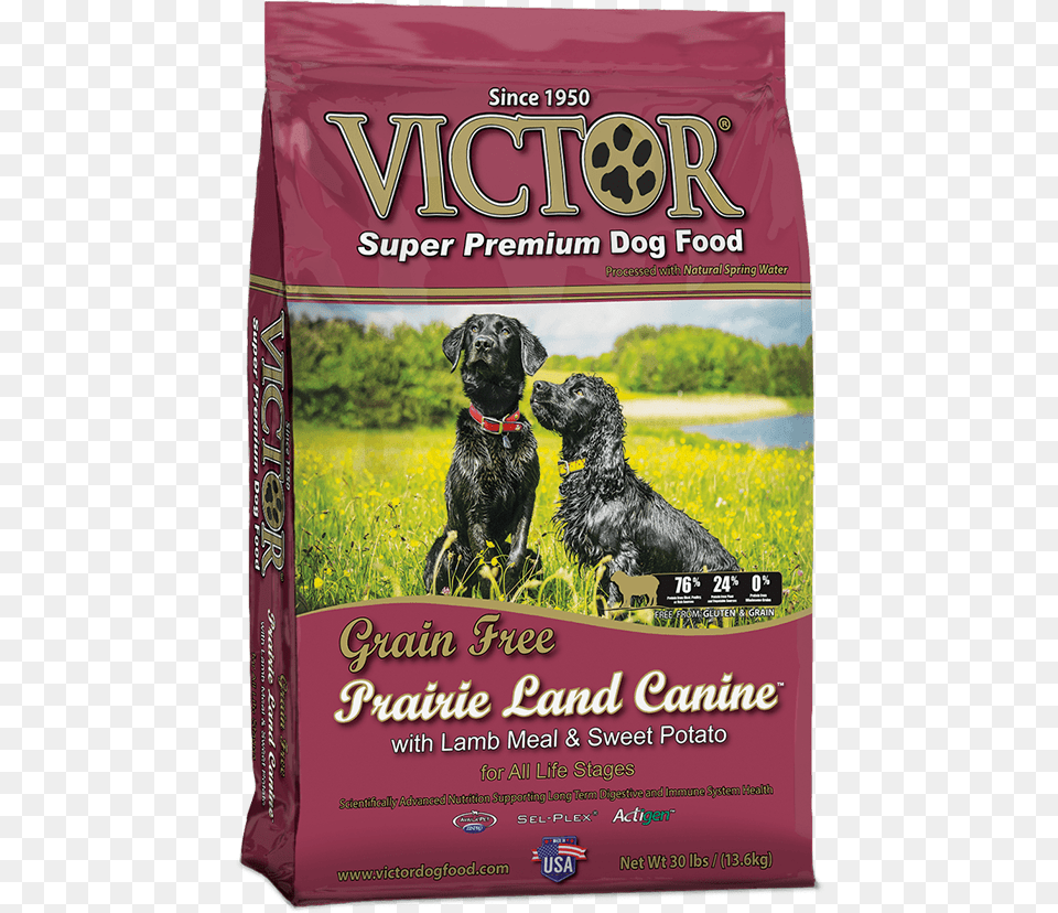 Grain Prairie Land Canine Dog Food Victor Grain Dog Food, Animal, Mammal, Pet Png Image