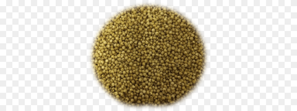 Grains And Vectors For Rapeseed, Food, Mustard, Astronomy, Moon Free Transparent Png