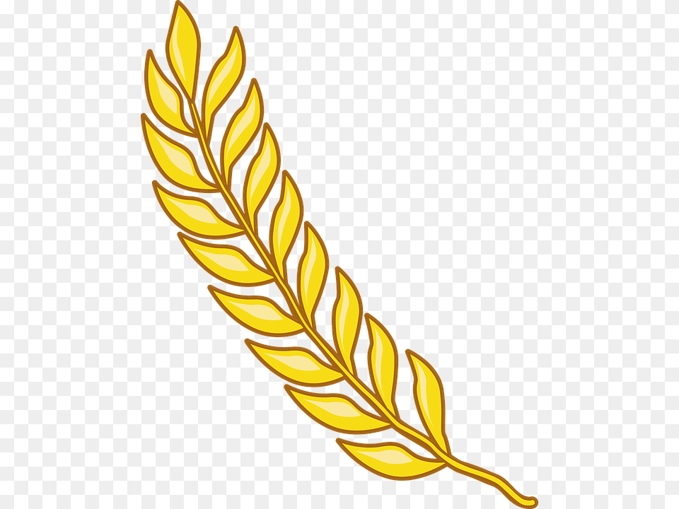 Grains Clipart Feather, Gold, Pattern, Leaf, Plant Free Png