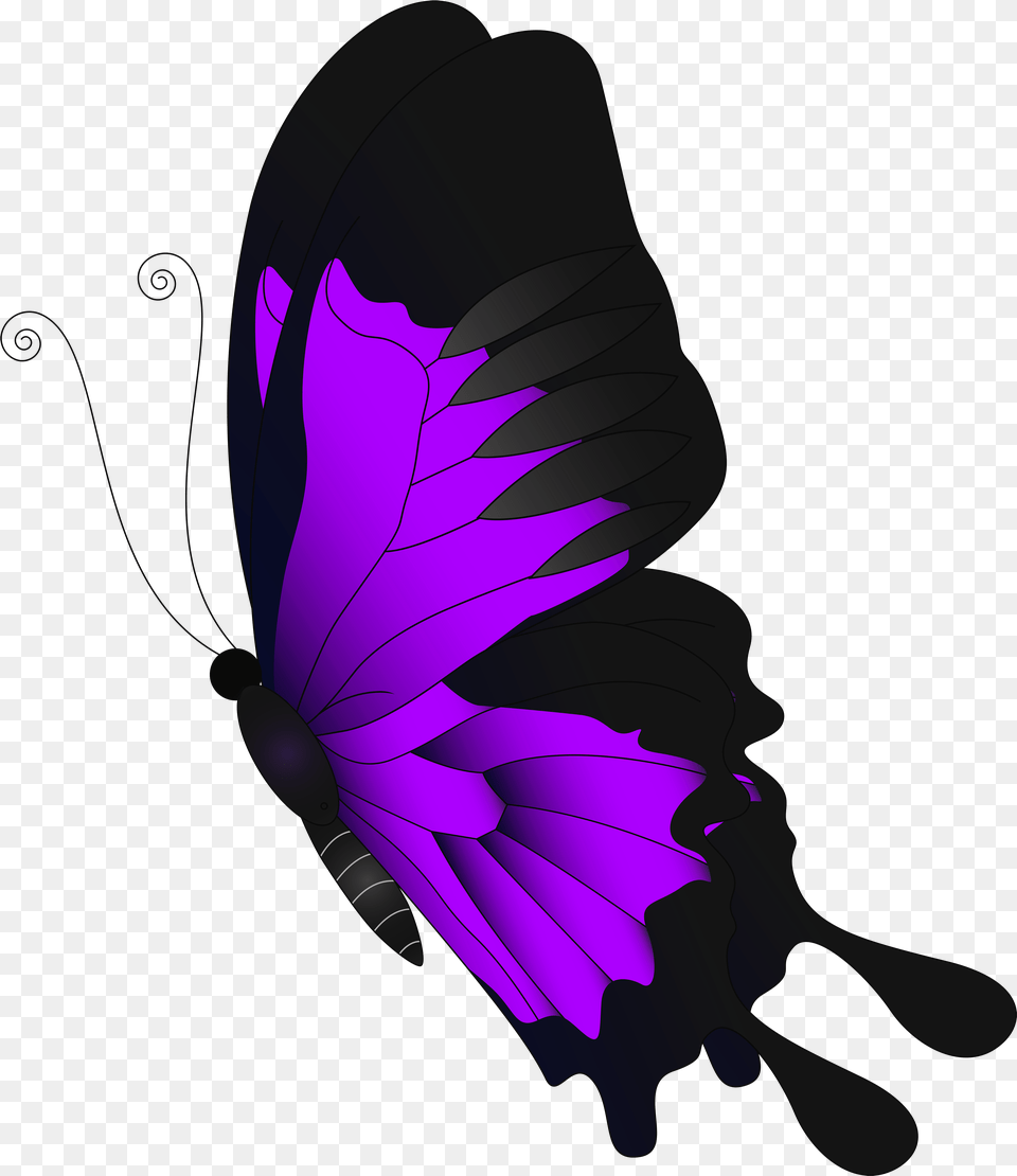 Grains Clipart Feather Red Butterfly Transparent, Purple, Art, Graphics, Accessories Free Png