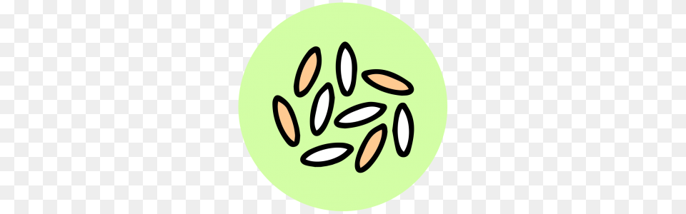 Grains Clipart Vegan, Food, Grain, Produce, Seed Png Image