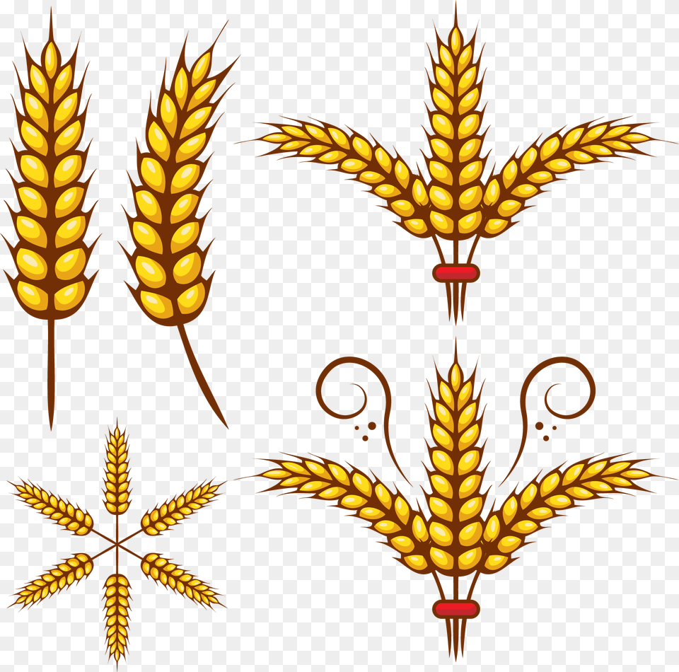 Grains Clipart Wheat Leaf Wheat Leaves Clipart, Food, Grain, Produce, Animal Free Png