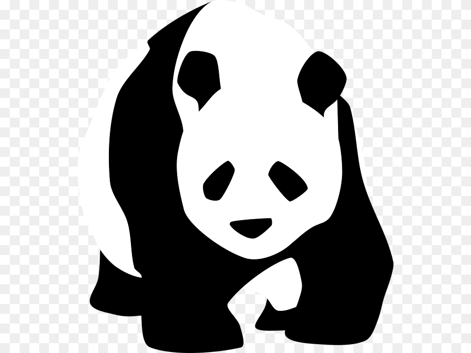Grakn Pandas Celebrities Grakn, Stencil, Animal, Fish, Sea Life Free Transparent Png
