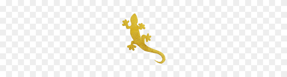 Gram Edible Gold Flakes Delafampeacutee, Animal, Gecko, Lizard, Reptile Png Image