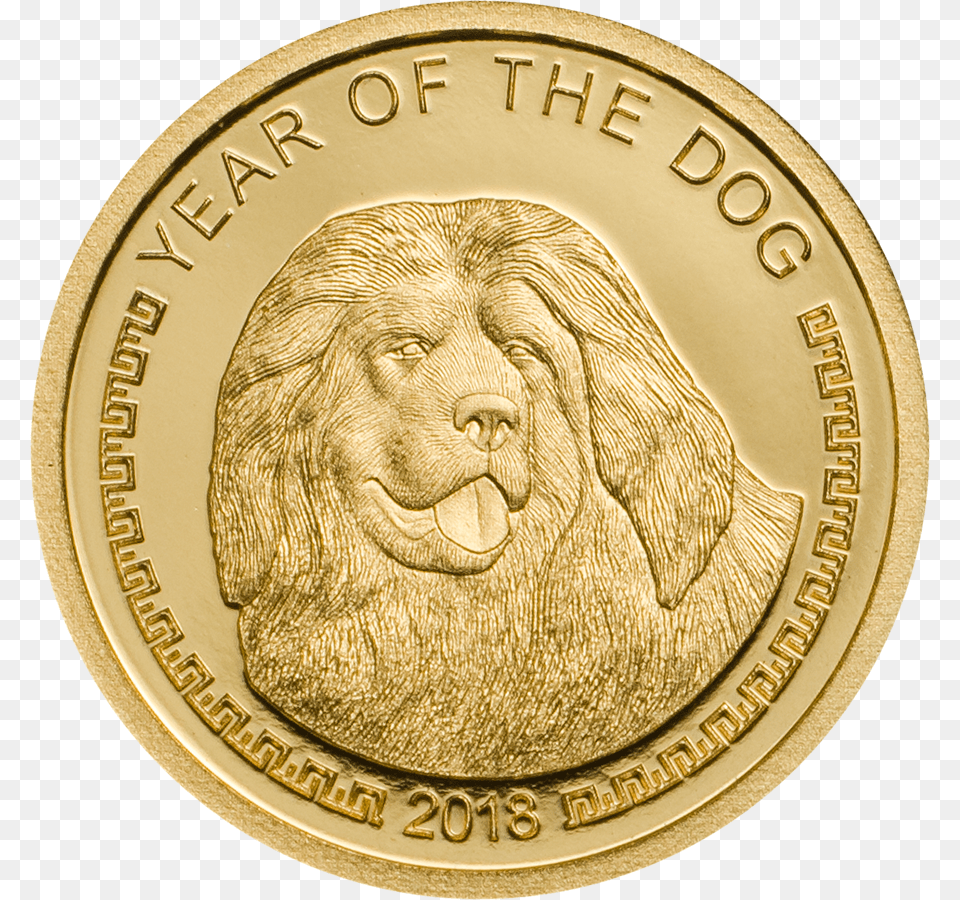 Gram Mongolia Year Of The Dog Solomon Islands Gold Coins, Animal, Lion, Mammal, Wildlife Png