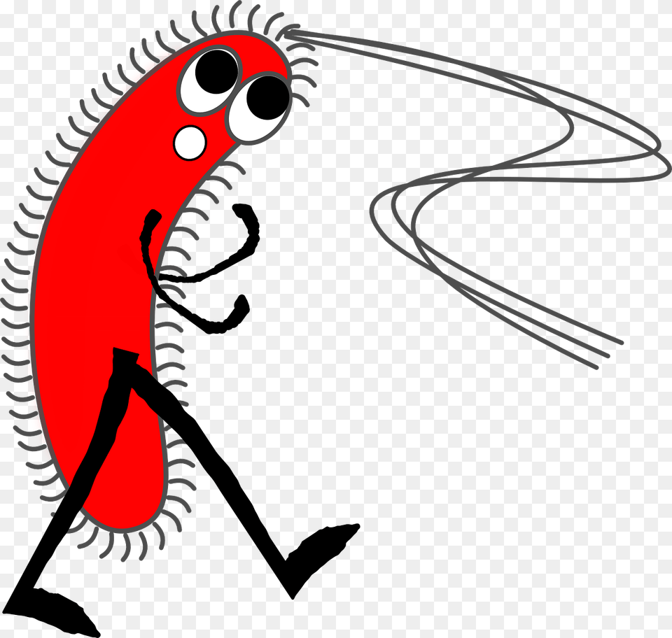 Gram Negative Bacteria Cartoon Free Transparent Png