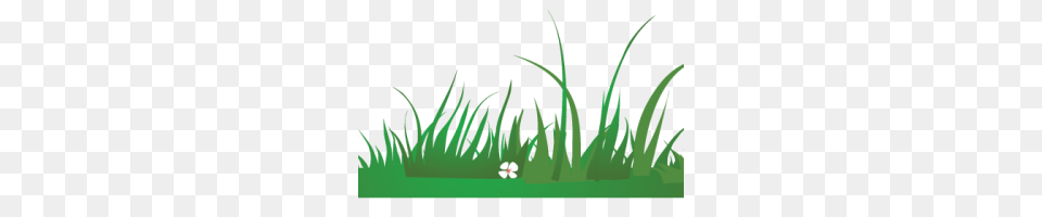 Grama Em Desenho Image, Grass, Green, Plant, Vegetation Free Transparent Png