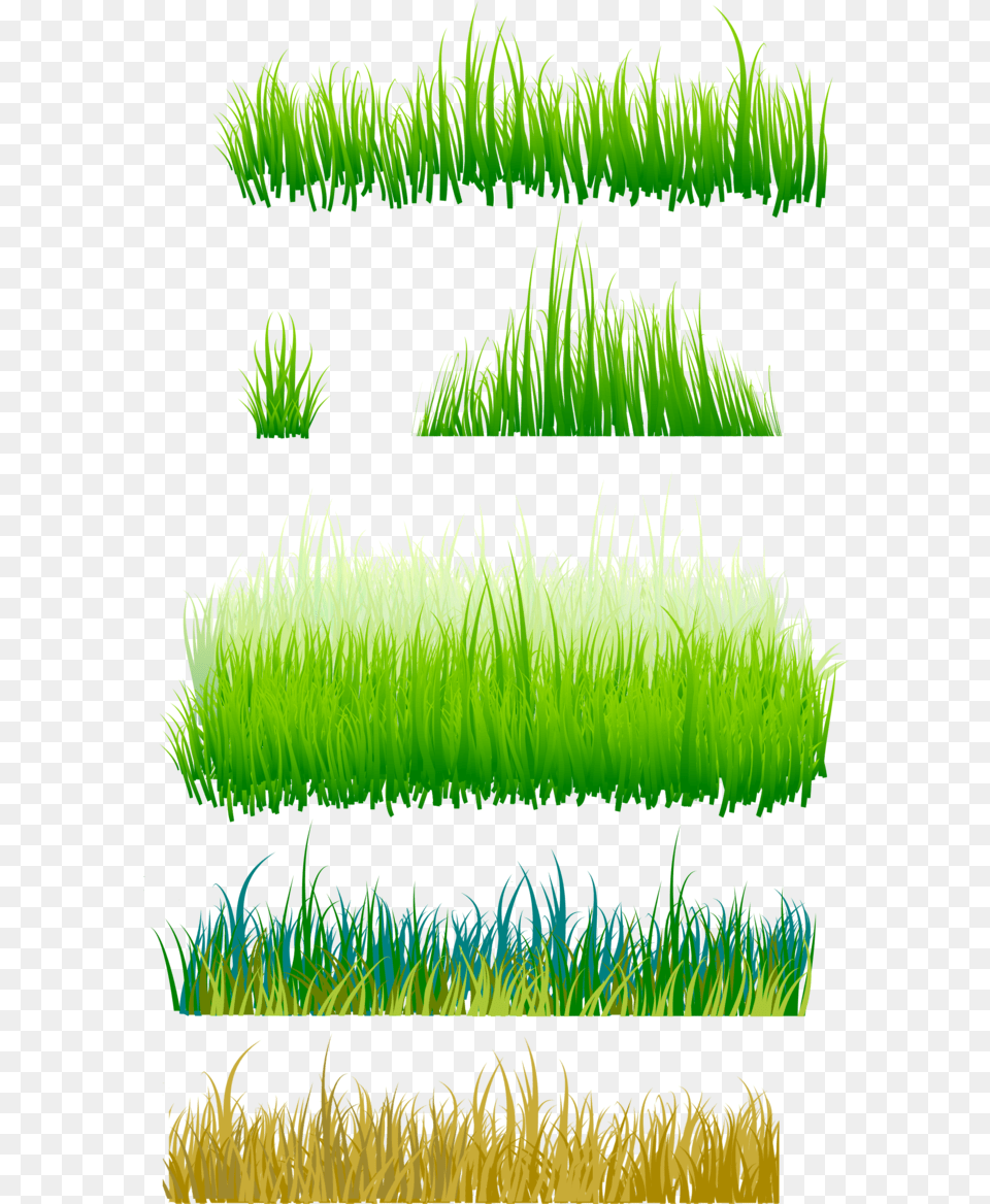 Grama Imagens Grass Grassland, Green, Moss, Plant, Lawn Png Image