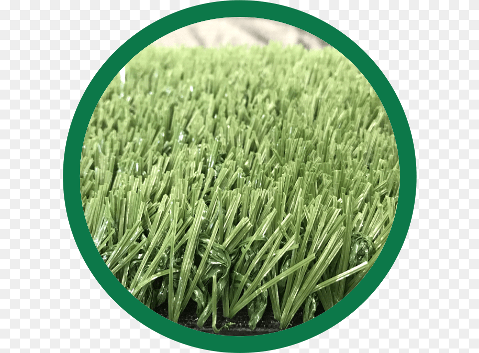 Grama Sinttica 50mm Blank Clock Face, Grass, Plant, Vegetation, Lawn Png