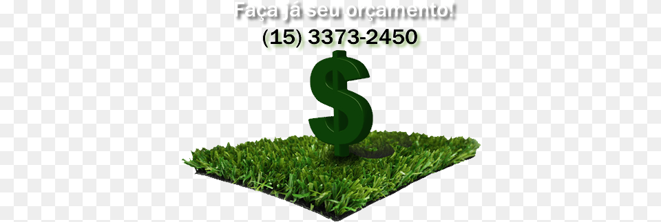 Gramas Com Timo M2 Direto Do Produtor Para Todo Brazil, Grass, Green, Moss, Plant Png Image