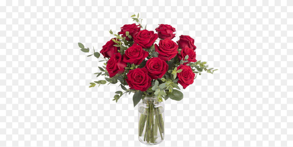 Gran Romance 12 Rosas Rojas Lovely, Flower, Flower Arrangement, Flower Bouquet, Rose Png