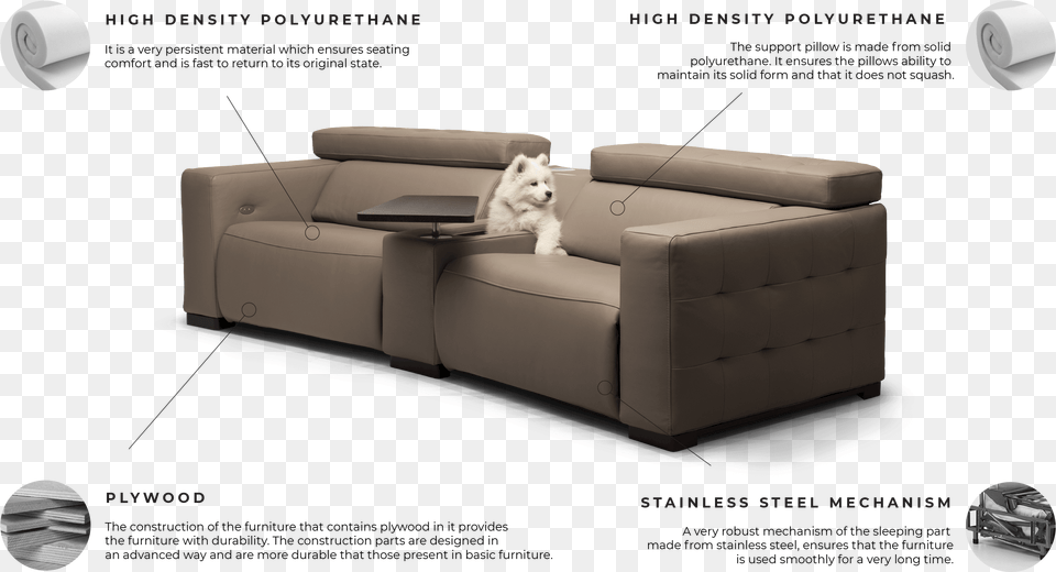 Grand Auto Pjuvis En Sofa Bed, Furniture, Couch, Animal, Mammal Png Image