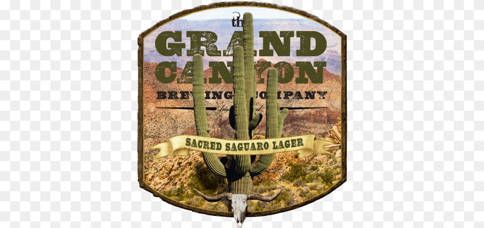 Grand Canyon Sacred Saguaro Horseshoe Bend, Cactus, Plant Free Png