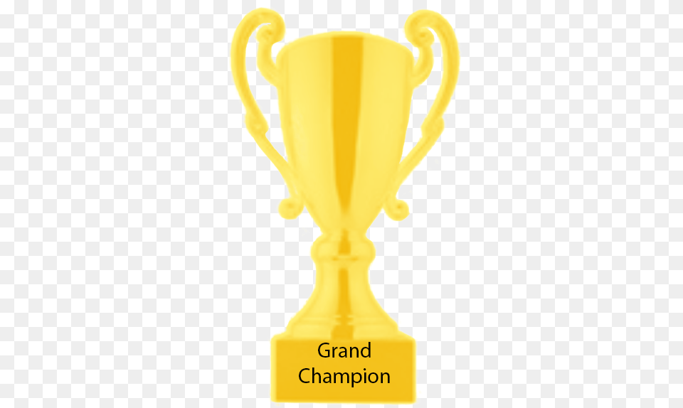 Grand Champion Champion Trophy, Person Free Png Download