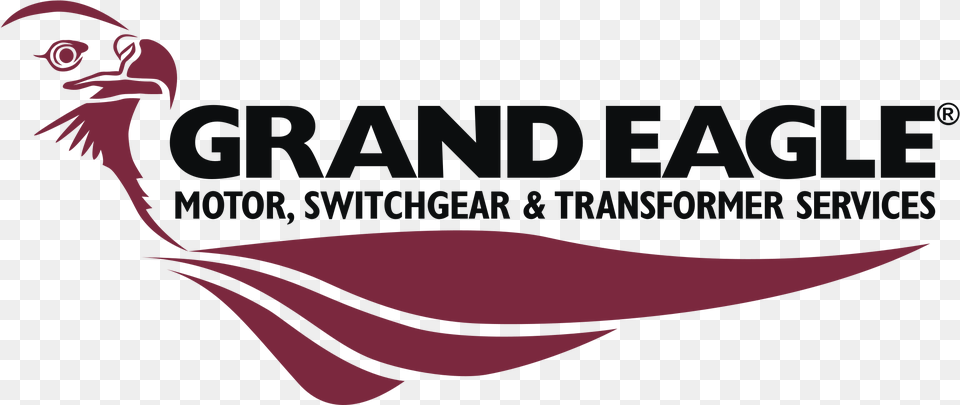 Grand Eagle Logo Transparent Eagle Logo Grand Eagle, Animal, Bird, Vulture, Beak Free Png Download