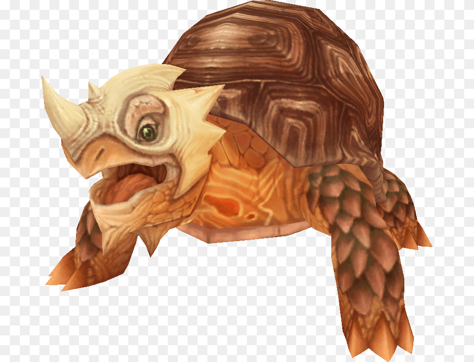 Grand Fantasia Wikia Chelonoidis, Animal, Reptile, Sea Life, Tortoise Free Transparent Png