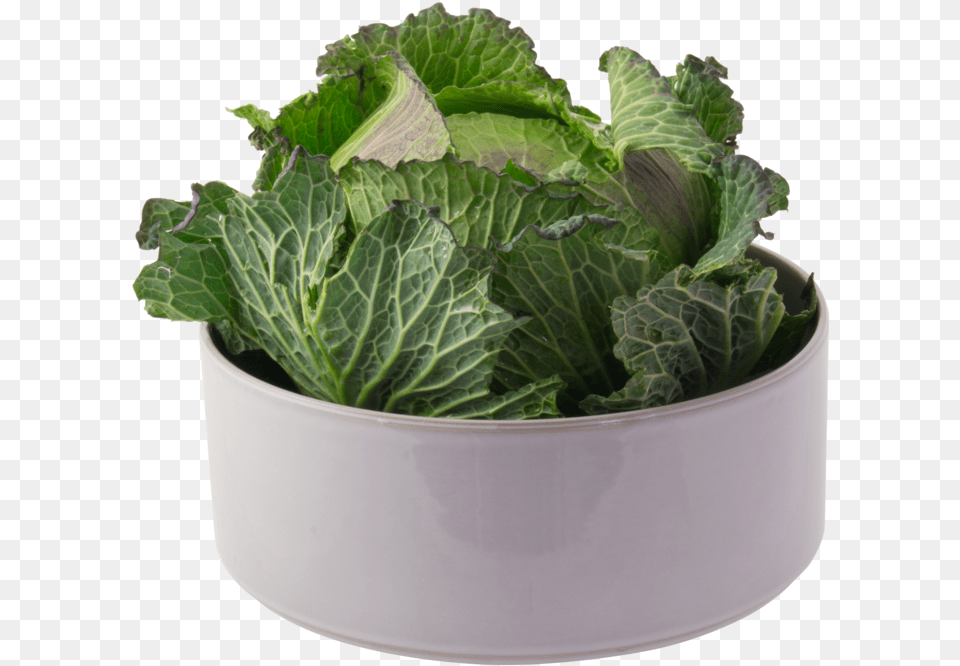 Grand Saladier Haut Big Salad Bowl U2014 2610 Vegetables Spring Greens, Food, Leafy Green Vegetable, Plant, Produce Free Png Download