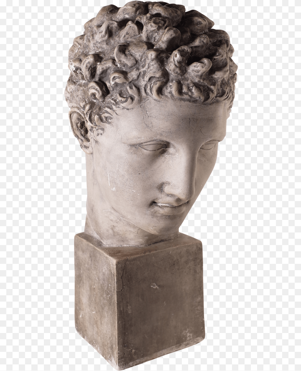 Grand Tour Museum Souvenir Plaster Bust Of David Bust, Archaeology, Art, Face, Head Free Png