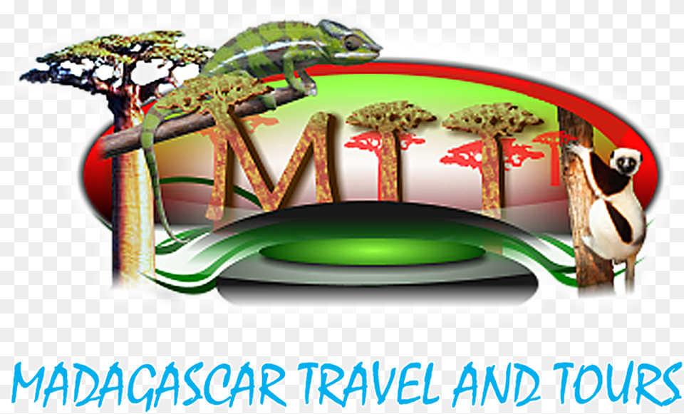 Grand Tour Of Madagascar Les Tropeziennes, Animal, Zoo, Plant, Tree Free Png Download