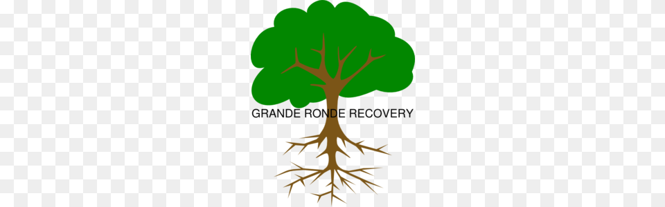 Grande Ronde Recovery Clip Art, Plant, Root, Person Png