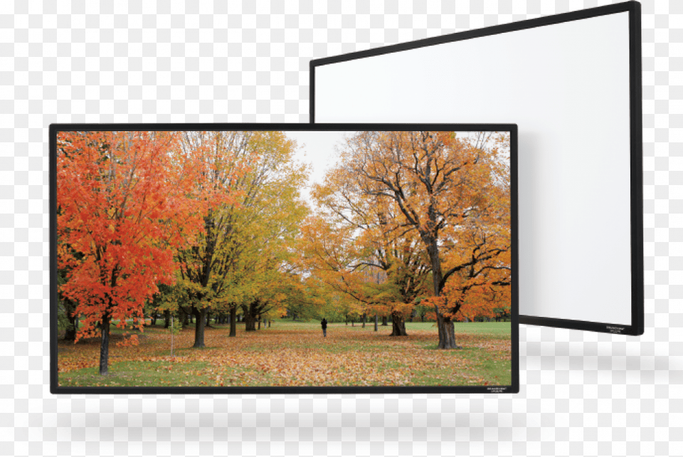 Grandview Flat Permanent Grandview Screen Fixed Frame, Plant, Maple, Tree, Electronics Png