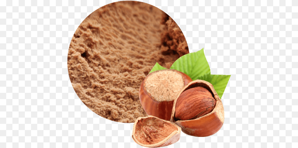 Granel 25 L Avellana Reus Premium Ice Cream, Food, Nut, Plant, Produce Png Image