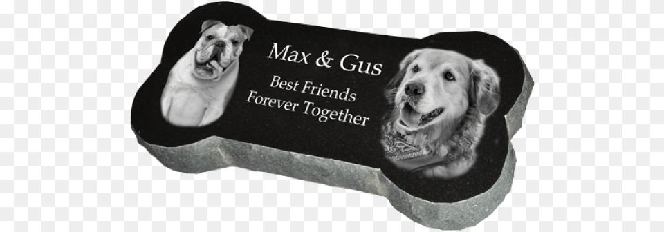 Granite Dog Bone Headstone Marker Headstone, Animal, Canine, Mammal, Pet Png