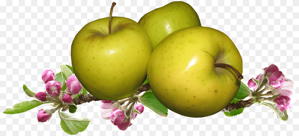 Granny Smith, Apple, Food, Fruit, Plant Free Transparent Png