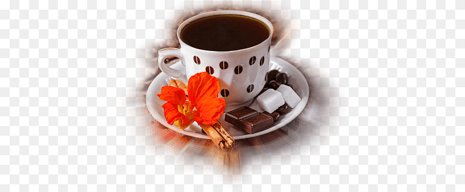 Granos De Cafe, Cup, Flower, Plant, Beverage Free Png
