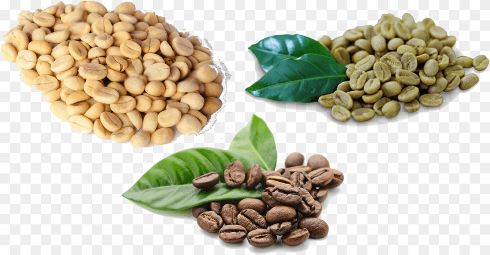 Granos De Cafe, Beverage, Coffee, Fungus, Plant Free Png