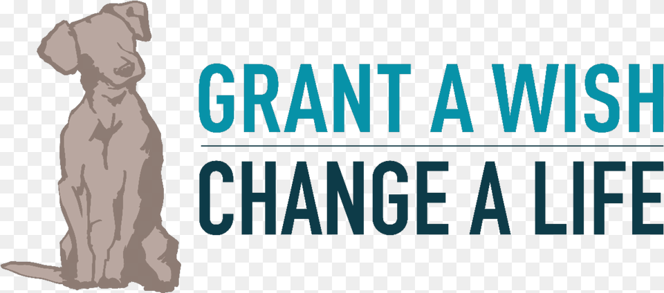 Grant A Wish Change A Lifeclass Img Responsive Graphic Design, Animal, Bear, Mammal, Wildlife Png