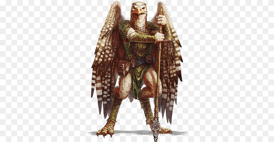 Grant Howitt Aarakocra Dnd 5e, Adult, Bride, Female, Person Free Png Download