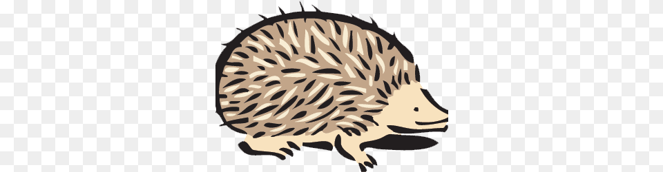 Grant Writing Administration, Animal, Hedgehog, Mammal, Porcupine Free Png Download