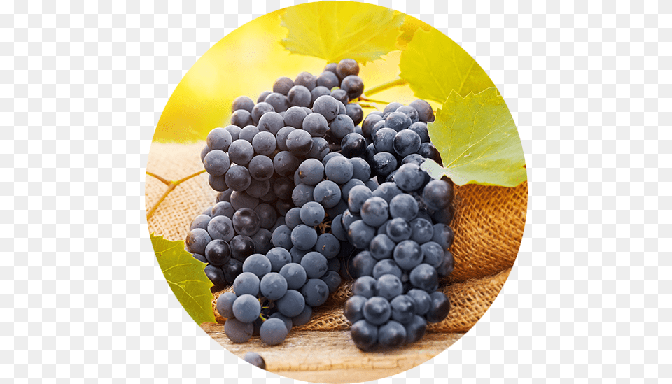 Grape, Food, Fruit, Grapes, Plant Png