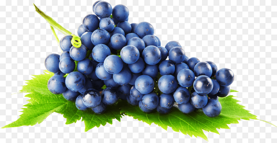 Grape, Berry, Blueberry, Food, Fruit Free Png Download