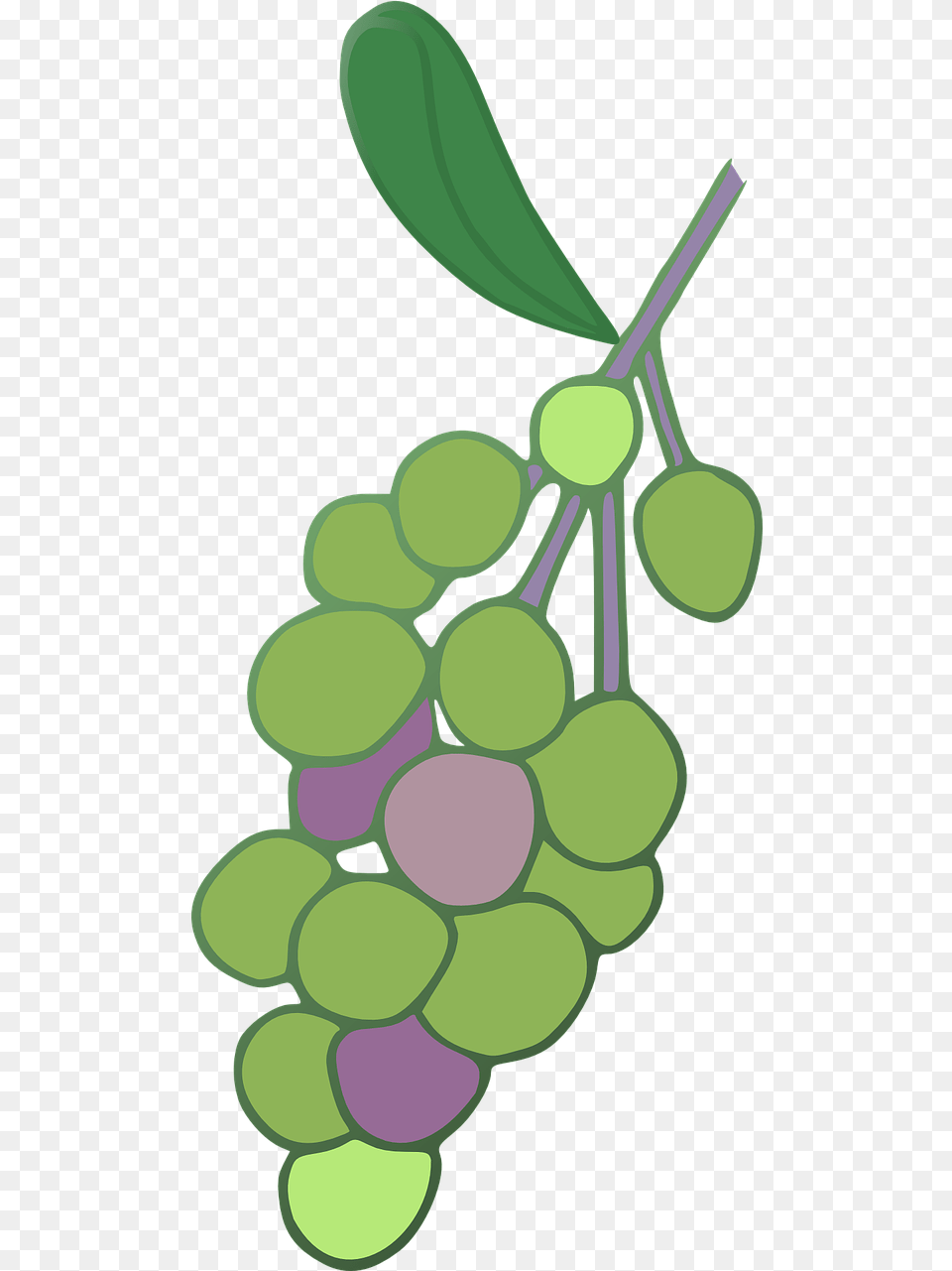 Grape, Food, Fruit, Grapes, Plant Png