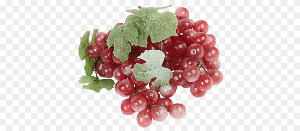 Grape, Food, Fruit, Grapes, Plant Free Png