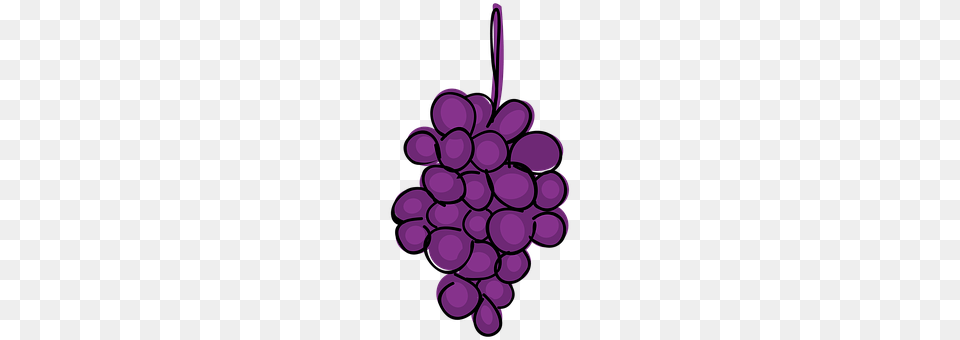 Grape Food, Fruit, Grapes, Plant Free Transparent Png