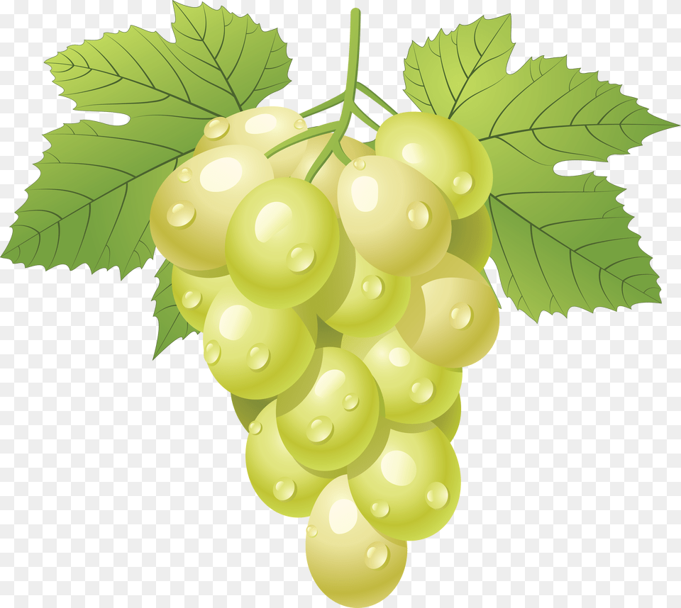 Grape, Food, Fruit, Grapes, Plant Free Transparent Png