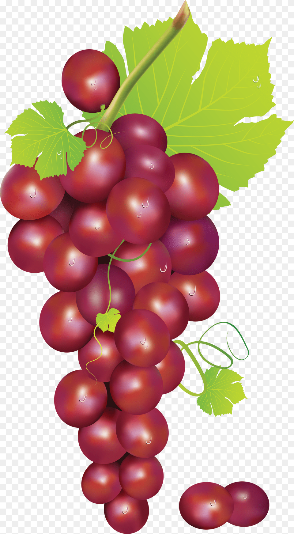 Grape, Food, Fruit, Grapes, Plant Free Png